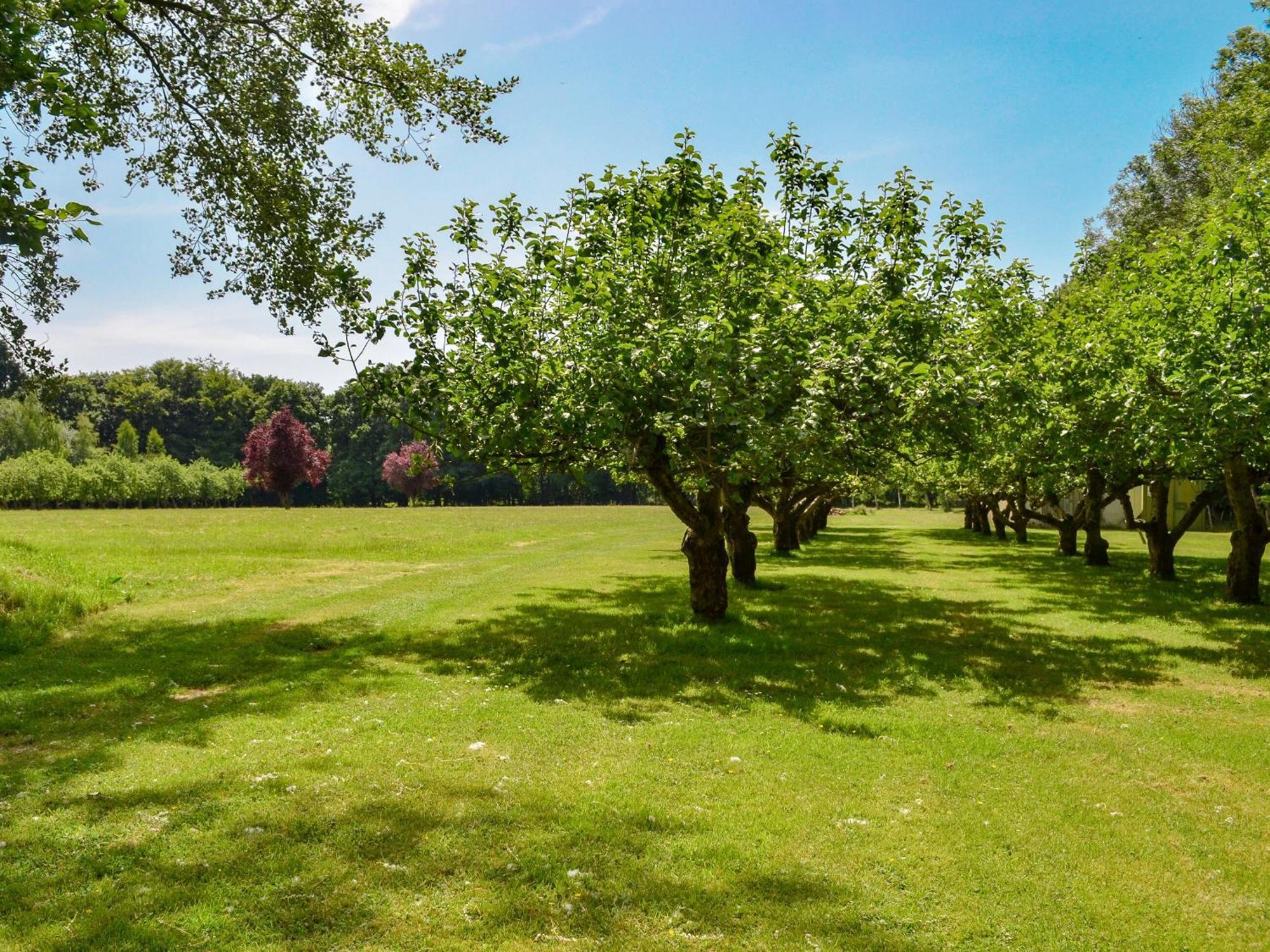 Deer Cottage 2 Uk39332 Biddenden 외부 사진
